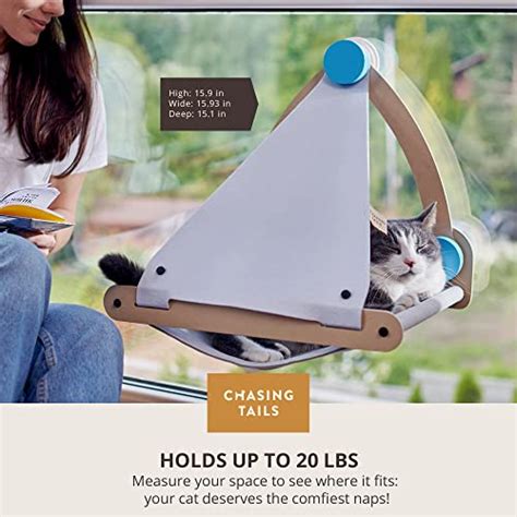 Chasing Tails Perchoir De Fen Tre Pour Chat Hamac Pour Fen Tre De