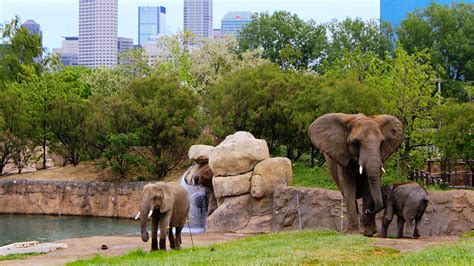 New Conservation Hub, Elephant Exhibit Opening At Indy Zoo