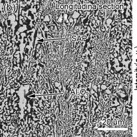 Transverse Microstructure A And Longitudinal Microstructure B Of