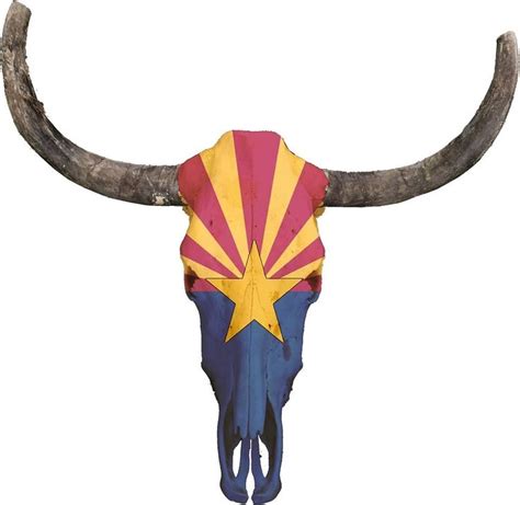 Skull With The Arizona Flag Skull Art Arizona Arizona Flag Art