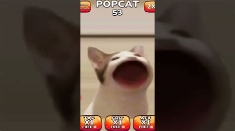 1 100 Pop Pop Popcat 🐱 Shorts Games Popcat Popcatgames