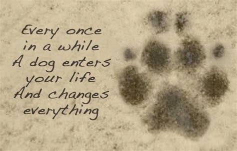 Dogs Dying For Beautiful Quotes. QuotesGram