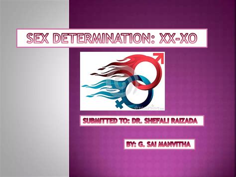 Xx Xo Sex Determination Ppt