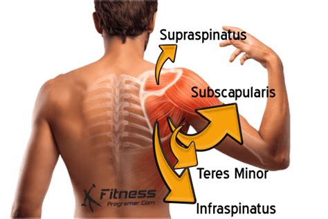 10 Effective Rotator Cuff Exercises For Stronger Shoulders