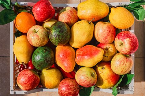 keranjang buah segar  pasar petani buahbuahan musiman alami segar