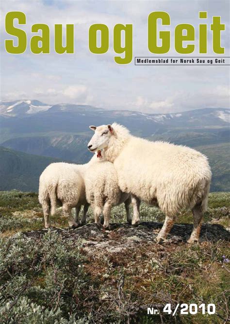 Sau Og Geit Nr 4 2010 Norsk Sau Og Geit