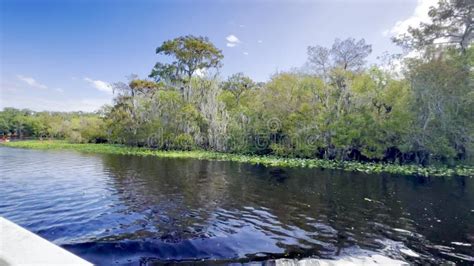 The Tour On The Spring And St Johns River At Blue Springs State Park Stock Footage Video Of