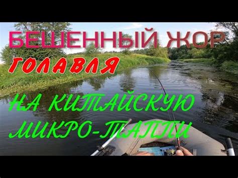 Бешенный Жор Голавля На Микро-Таппи,Река БЫСТРИЦА... - YouTube
