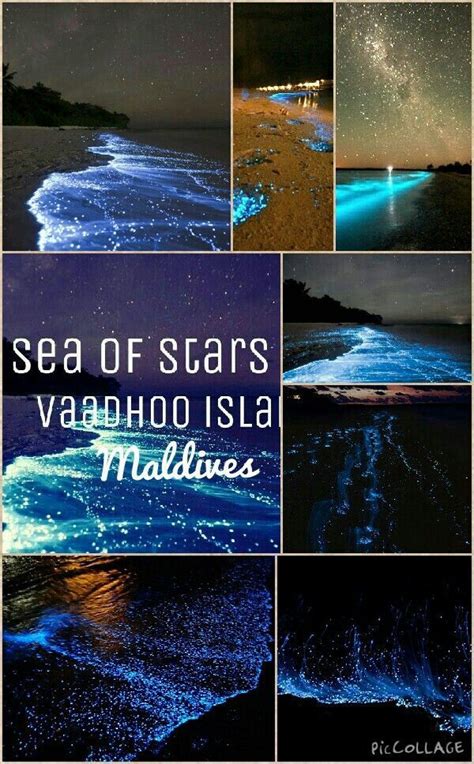 "Sea of Stars" Vaadhoo Island, Maldives | Maldives travel, Maldives vacation, Maldives island