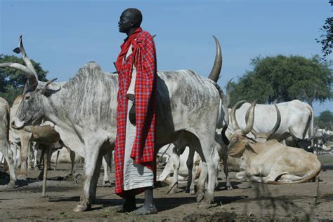 Fao News Article Progress Made In Stopping Decline Of Livestock