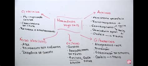 Mapa Mental Sobre Horm Nios Vegetais Study Maps