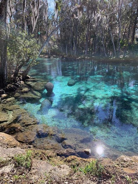 Crystal River Archaeological State Park - Museum Point, United States