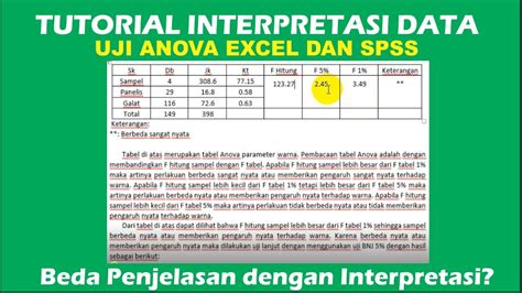 Apa Itu Interpretasi Data Cara Melakukan Uji Statistik Deskriptif