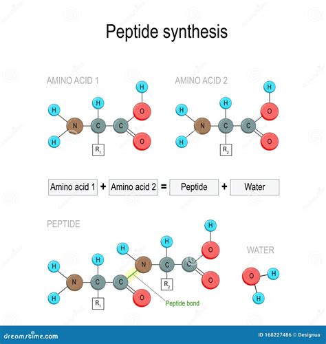 Peptide Cartoons, Illustrations & Vector Stock Images - 5782 Pictures ...