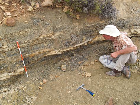 Findings Rock Long Held Assumptions About Ancient Mass Extinction