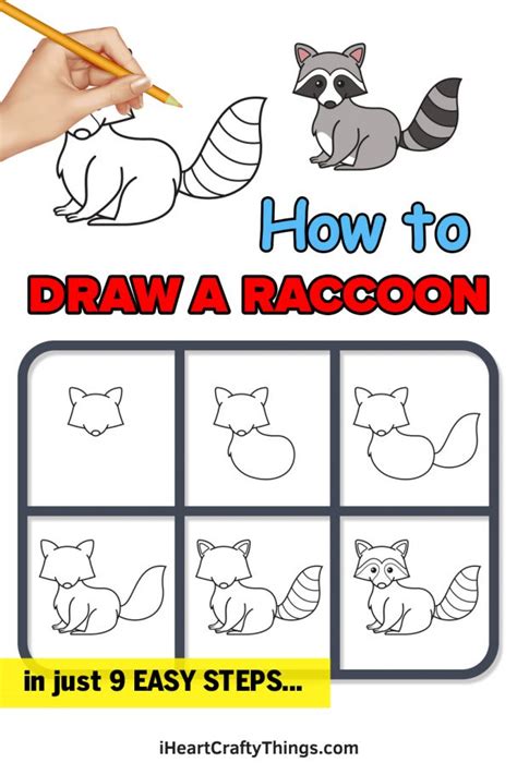 Raccoon Drawing - How To Draw A Raccoon Step By Step