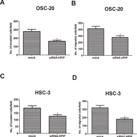 Hpip Silencing Inhibits Hnscc Cell Proliferation Western Blot Analysis