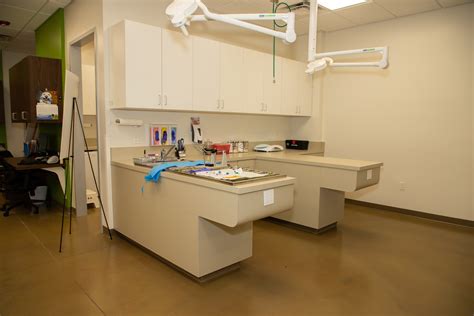 Animal Cancer Care Clinic, Orlando — Augustine Design Group