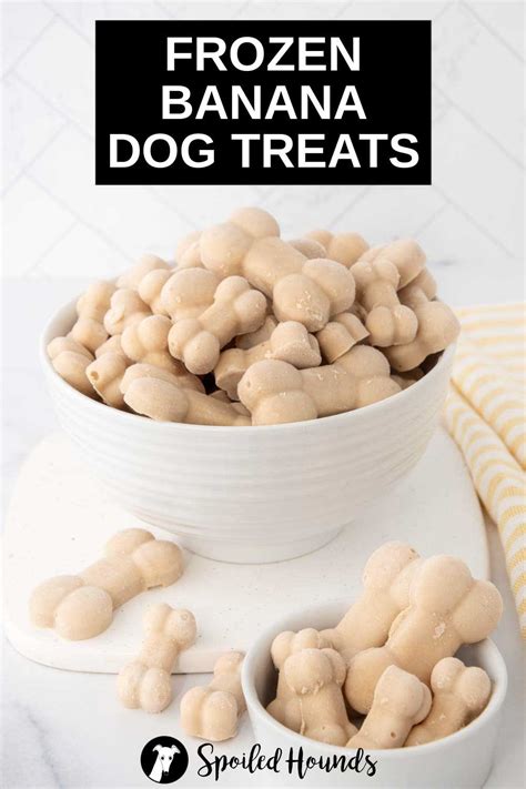 Frozen Banana Dog Treats - Spoiled Hounds