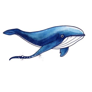 Dolphin Image PNG, Vector, PSD, and Clipart With Transparent Background ...