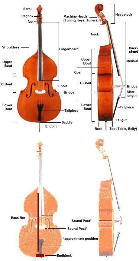 How To Build Double Bass - Netwhile Spmsoalan