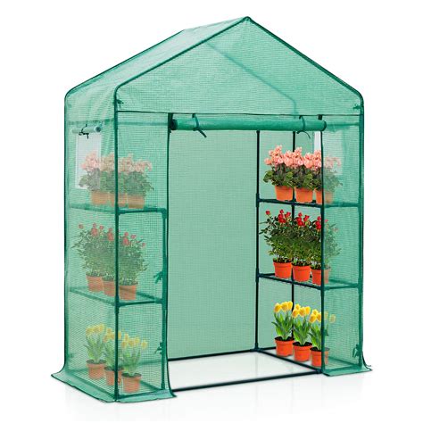 Buy Eagle Peak 61 X 28 X 79 Walk In Greenhouse 2 Tier 4 Shelves