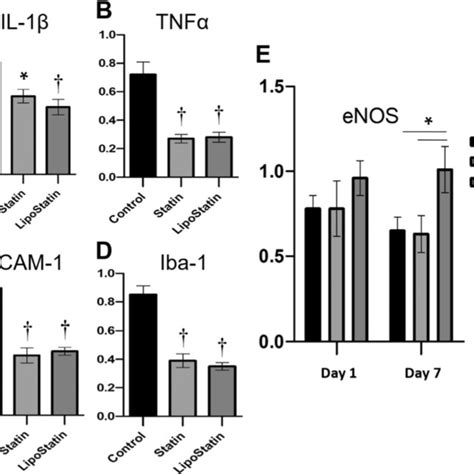 Rna Isolation And Rt Pcr For Il 1 Beta A Tnf Alpha B Icam 1 C