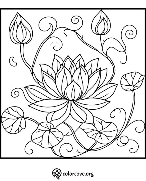 24 Free Lotus Flower Coloring Pages The Color Cove