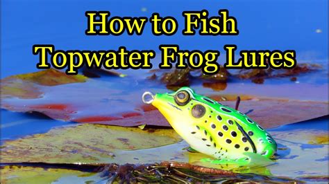 Basics Of Frog Fishing And How To Fish Hollow Body Frog Lures Bass