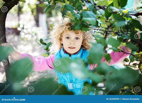 Portrait De Petite Fille Blonde Mignonne Photo Stock Image Du