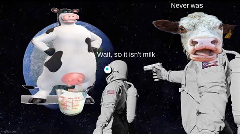 Cows Imgflip