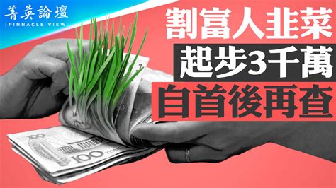 【菁英論壇】新五反割富豪韭菜 三千萬起步 中植系 割韭菜 金融系統 新唐人电视台