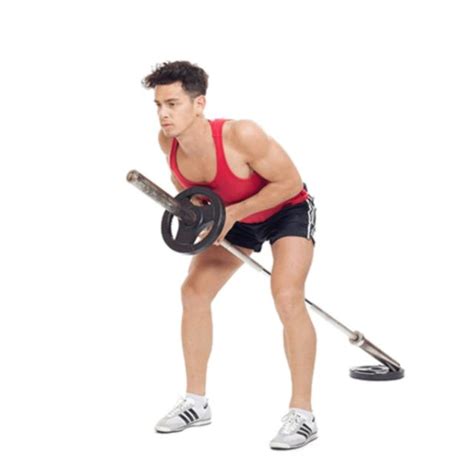 Back T Bar Bent Over Row By Saranyapong T Exercise How To Skimble