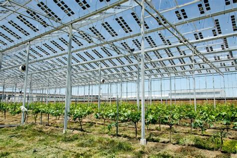 Placas Solares Transparentes La Nueva Soluci N Agrovoltaica Para