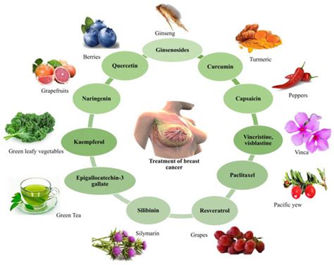 Cancers Free Full Text Advanced Phytochemical Based Nanocarrier