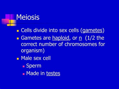 Meiosis Ppt Download