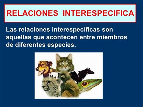 Relacionesalimentarias Interespecificas