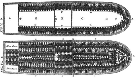 Slave Ship Diagram – Art/s and Theology Australia