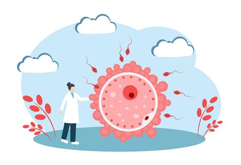 Esperma E Ovo A Conceito Do Fertilização Humano Reprodutivo Sistema