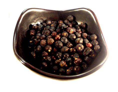 Juniper (Juniperus communis) Berries Organic Dried Herb