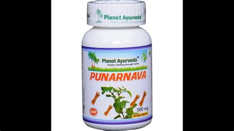 Planet Ayurveda S Punarnava Capsules 60 Uses Benefits Price Dosage