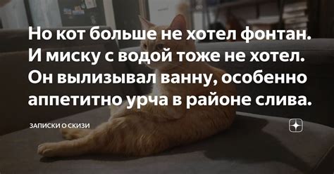 Но кот больше не хотел фонтан. И миску с водой тоже не хотел. Он ...