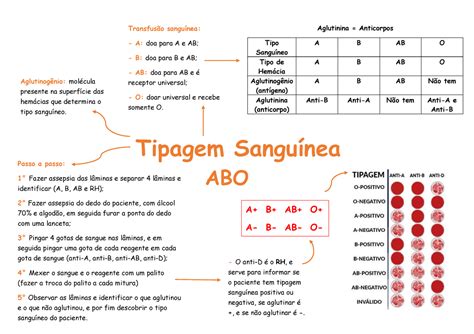 Tipagem Sanguinea Tipagem Sanguínea ABO A B AB O A B AB O