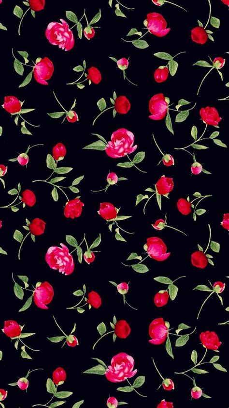 Rose iPhone Wallpapers - Top Free Rose iPhone Backgrounds - WallpaperAccess