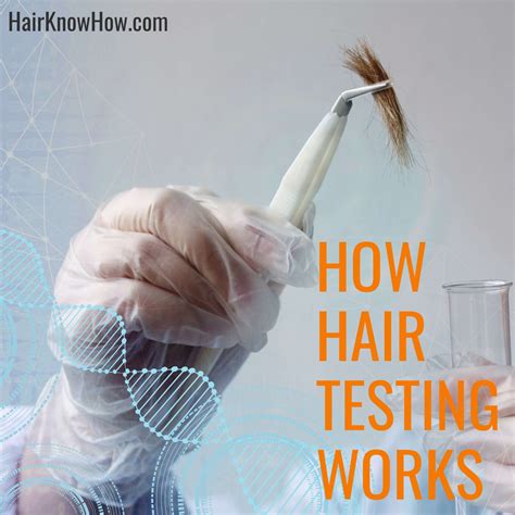 Hair Testing Methods Results And Understanding Hairknowhow