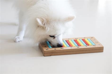 18 Puppy Puzzle Toys to Keep Your Pup Entertained