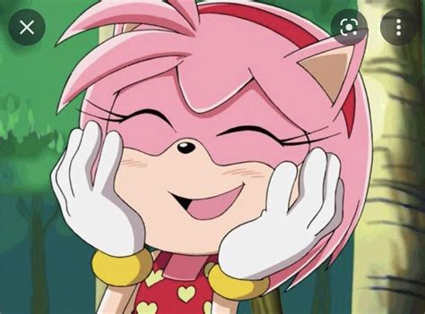 Sonicx Redraw Amy Rose Sonic The Hedgehog Amino