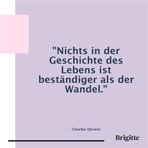 Sprüche 20 Zitate Mut für einen Neuanfang machen BRIGITTE de