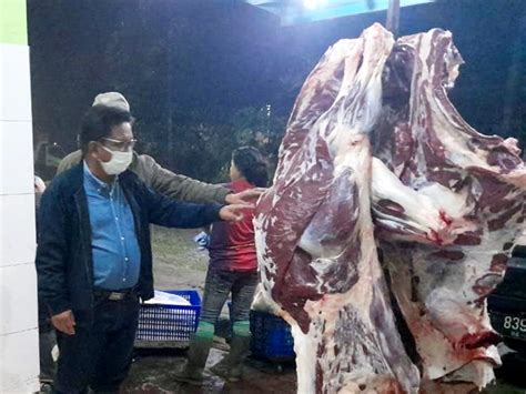 Kementan Pastikan Stok Daging Sapi Aman Untuk Lebaran Tagar