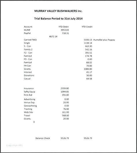 Non Profit Treasurer Report Template Best Template Ideas